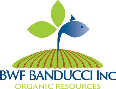 BWF Banducci Inc